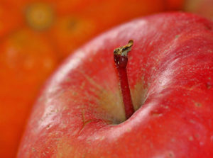 Healthy Snacks